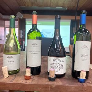 O projeto marcante da Cerro de Pedra  